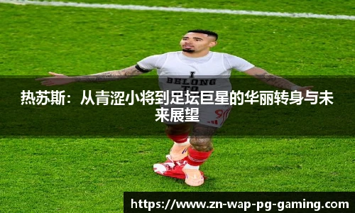 pg模拟器官网下载